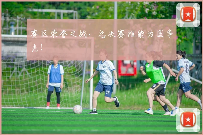 赛区荣誉之战，总决赛谁能为国争光！