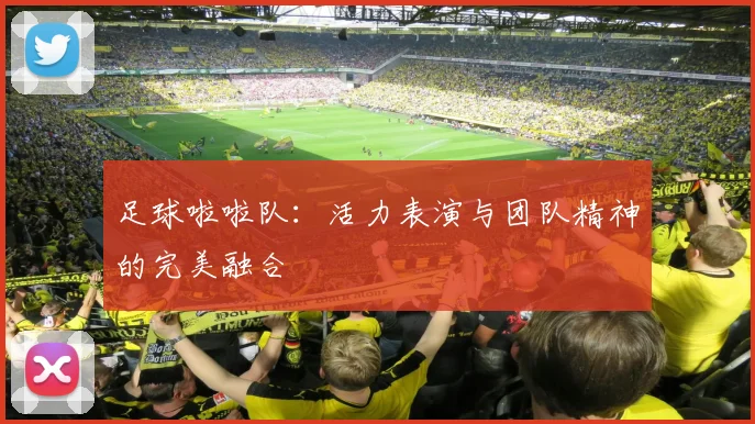 足球啦啦队:活力表演与团队精神的完美融合